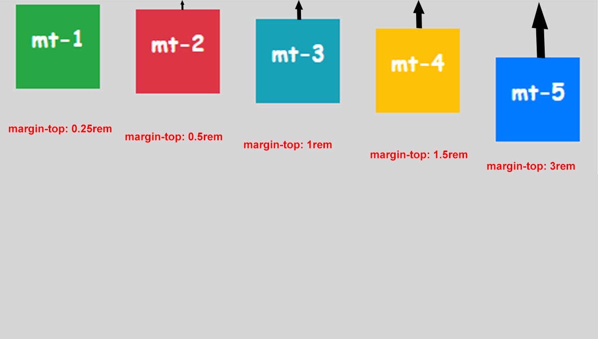 How to Add Margin and Padding Bootstrap 5 » Developers Zone